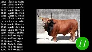 OVELHA GAMES XINGANDO SOGRA ÁUDIOS ORIGINAIS (PARTE 1)