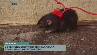Jovem universitário tem ratazana como bicho de estimação