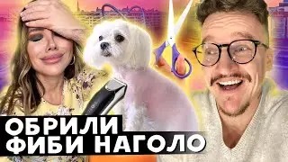 ПОБРИЛИ ФИБИ НАГОЛО / ИГОРЯ НЕ СУЩЕСТВУЕТ? / УЖИН У ЛИЗЫ