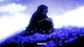 ⸎ PHANTASZZ ⸎ - MILKY WAY