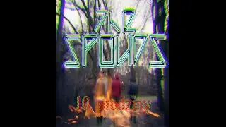 10 lat The Spouds