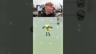 Very RARE Shiny hatch from Halloween 7km Eggs Pok&eacute;mon Go #shinypokemongo