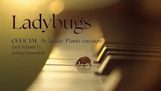 Ladybugs  - Acoustic Piano Version - Zack Schade Ft.  Joshua Pasumbal