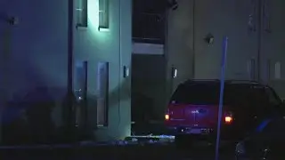 Police still investigating Dallas drive-by shooting