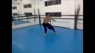 Kung Fu | Qi Xing Quan | Shaolin Tao Lu