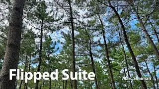 Flipped Suite _ Marc Shaiman