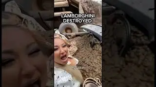 Arrogant Girls Film Dog in Lamborghini &ndash; What Happens Next is Instant Karma #Shorts #Karma #Fail