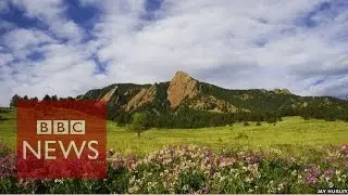 What would you miss if you lived off the grid ? BBC News