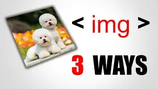 HTML-тег img || Учебник HTML