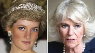 👒 QC Camilla EMOTIONS toward PRINCESS DIANA #diana #tarot #camilla