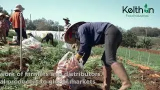 Kelthan Food Industries exports to the world.