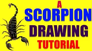 A SCORPION DRAWING TUTORIAL | Scorpion drawing colour | Scorpion drawing sketch | Scorpion drawing