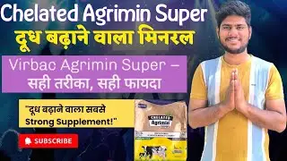 Chelated Agrimin Super | दूध बढ़ाने वाला सबसे Strong Mineral Mix | सही तरीका और फायदे 