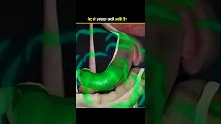 Why does our stomach make noise when we&rsquo;re hungry?
