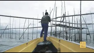 Climate change and water pollution shrink fisheries in Manila