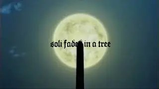 Kent Osborne - Soli Faded In A Tree (Official Visualizer)
