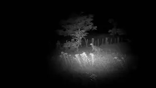 A budget night vision that works! The Pard NV007 aka WG760