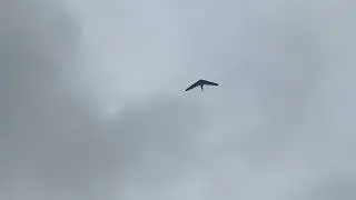 Meant to Be.. Free