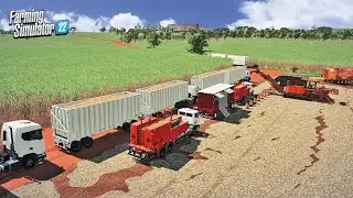 Vida de canaviero multiplayer no mapa S&atilde;o Carlos  | Farming simulator 22
