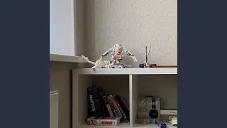 Вальс на укулеле