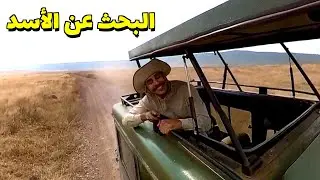 من أجمل المحميات الطبيعية للحيوانات في تنزانيا وافريقيا كلها