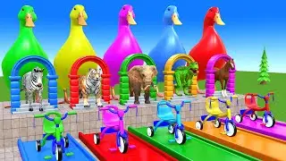 Long Slide Game With Cow Elephant Gorilla Hippopotamus Tiger 3d Animal Game Funny 3d Animals