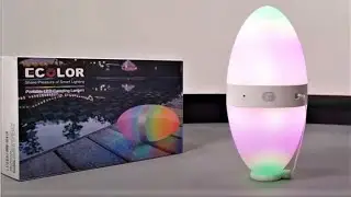 Ecolor Smart RGB Custom Egg Shaped Light Review