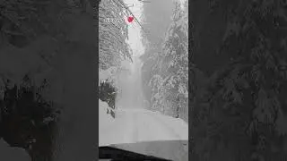 #reels #snow #shimlabeauty #uppershimla #mountains #shimlavibes #youtubeshorts #nature #travel