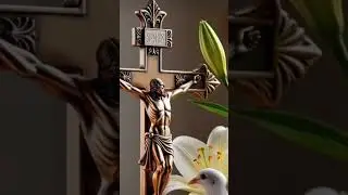 Jes&uacute;s en ti conf&iacute;o⚘️⚘️