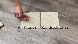 Solution Dyed Pet Friendly Carpet- Worth it??