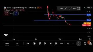 YDKG Stock (Yueda Digital Holding) YDKG Stock Analysis | November 18, 2025