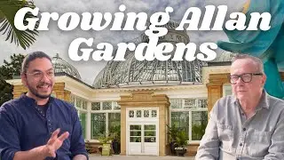 Growing Allan Gardens, Chapter 1: A Park for the 21st Century