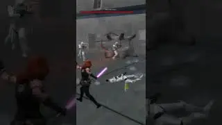 The Star Wars Heroes & Villains Multiverse 95: Mara Jade Skywalker
