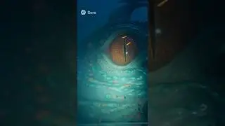 Deep Sea Horror || Scarry Deep Sea Creatures