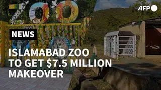 Pakistan zoo set for mammoth makeover after lonely elephant's departure | AFP
