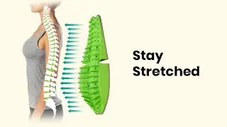 isoSpine and isoNeck: Relieve Back and Neck Pain | How to use isoSpine