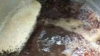 Flanders Brown Ale (Oud Bruin)