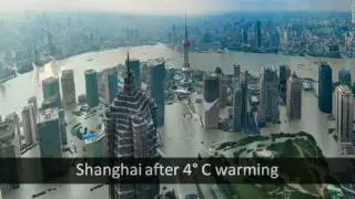 Destruction of the Environment and Overpopulation