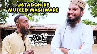 Tips by Master Ahmed for AQ Cattle Farm | Cattle Market Karachi | Bakra Eid 2024