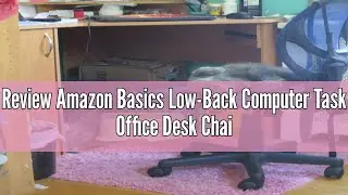 Review Amazon Basics Low-Back Computer Task Office Desk Chair with Swivel Casters - Black