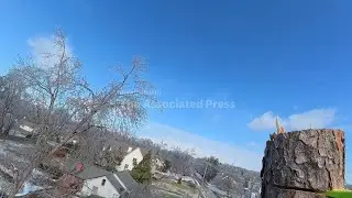Arborist climbs 45-foot pine tree damaged by ice storm in Nashville