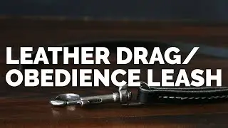 Leather Drag/Obedience Leash