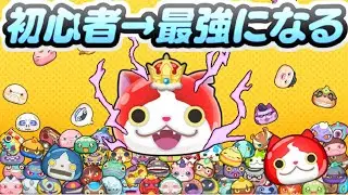 ぷにぷに 初心者から最強になるために優先するべきこと！2026年はコレだ！　妖怪ウォッチぷにぷに　レイ太