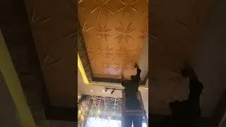 3D pvc panels for wall and ceiling
