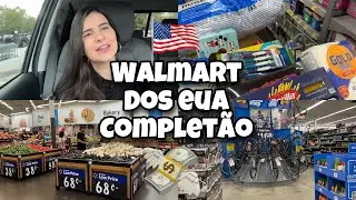 COMPRAS NO WALMART DOS EUA PRA CHEGADA DA FAMÍLIA