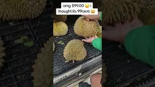#tastethemagic
