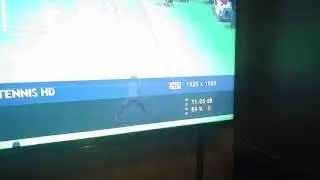 dm525 work perfect