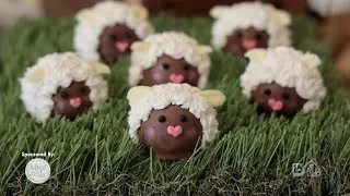 Specialty Easter Truffles, Marshmallow Peeps and Chocolate Treats Beautifully Handcrafted by Nibbles