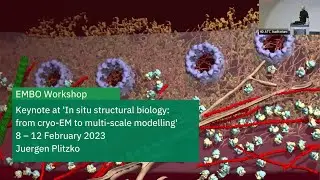 EMBL Keynote Lecture: The long and winding road to in situ structural biology with cryo-ET