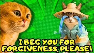 When a Cat Begs to be Forgiven by His Enemy (part 6)